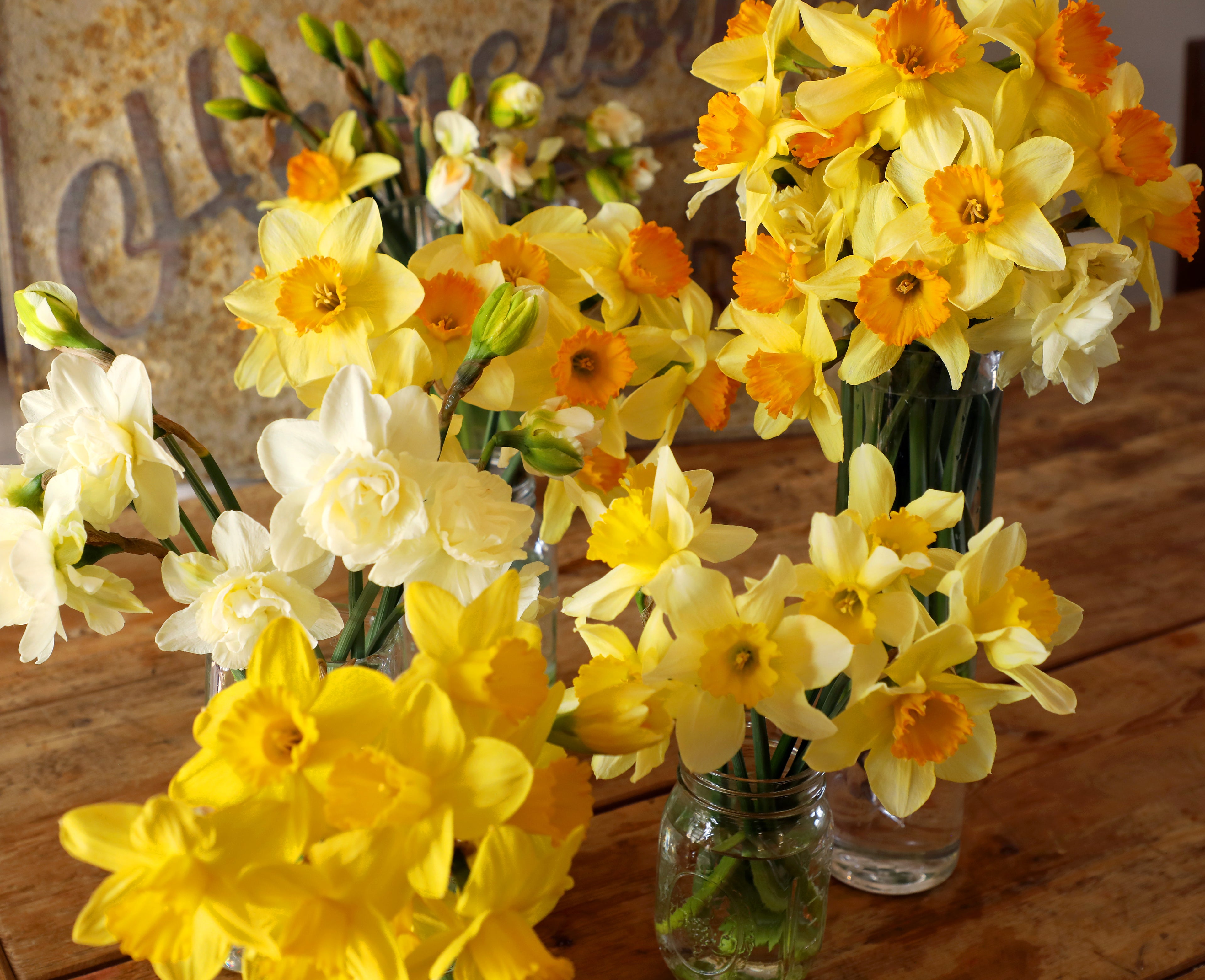 Flower Garden Bouquets of the Week