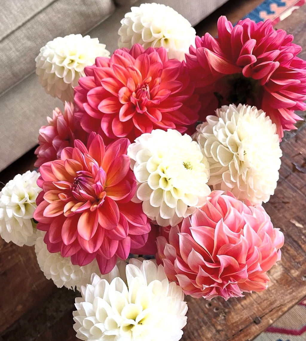 Flower Garden Bouquets of the Week