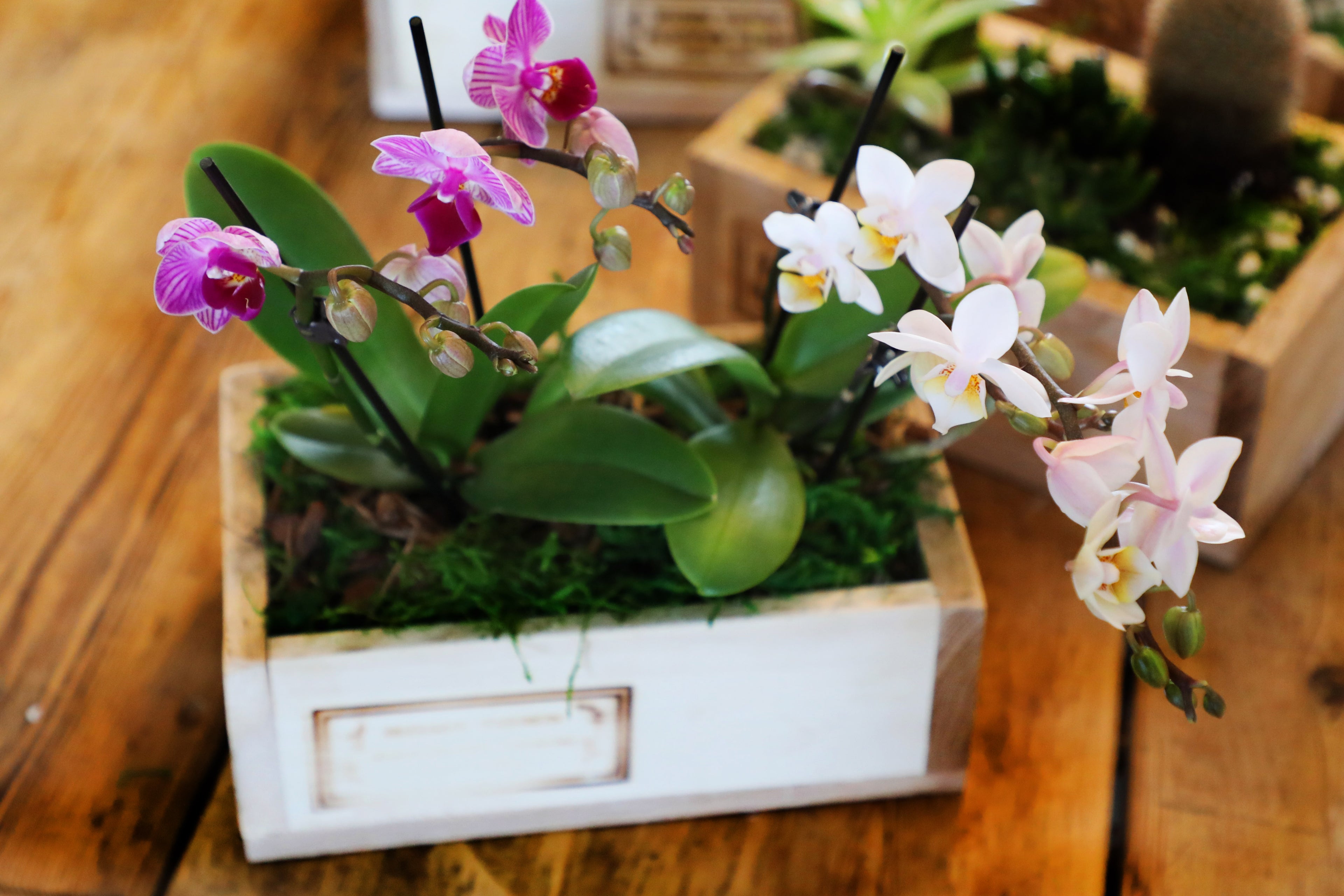 Any Occassion Sweets & Florals Gift Box