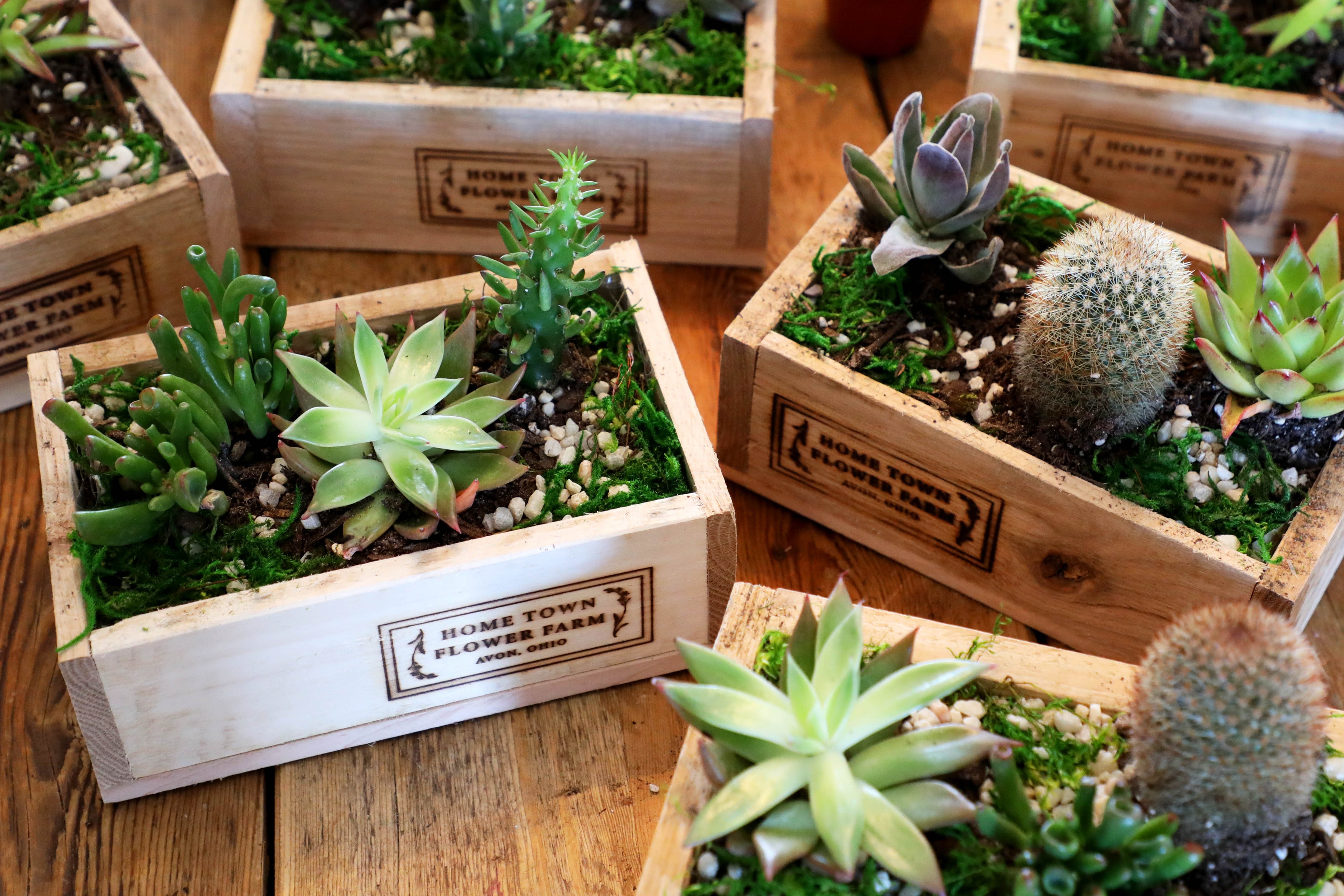 Any Occassion Sweets & Florals Gift Box